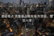 蘑菇看点 流量爆点情报局 专题站，蘑菇分享