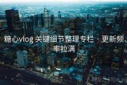 糖心vlog 关键细节整理专栏 · 更新频率拉满