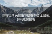 探花视频 关键细节整理专栏 全记录，探花视频贴吧