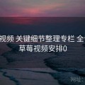 草莓视频 关键细节整理专栏 全记录，草莓视频安排0