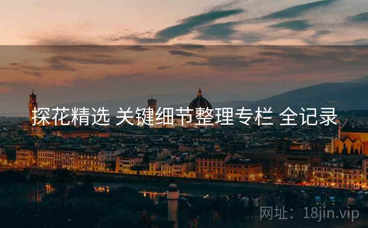 探花精选 关键细节整理专栏 全记录