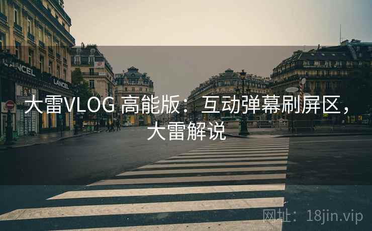 大雷VLOG 高能版：互动弹幕刷屏区，大雷解说