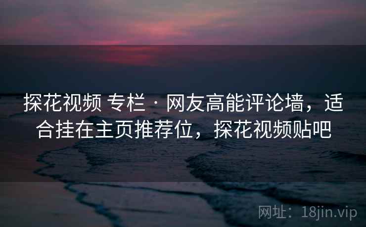 探花视频 专栏 · 网友高能评论墙，适合挂在主页推荐位，探花视频贴吧