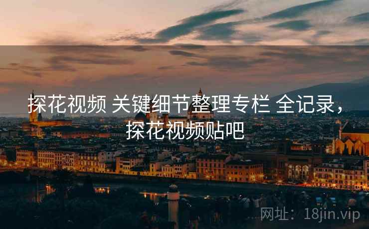 探花视频 关键细节整理专栏 全记录，探花视频贴吧