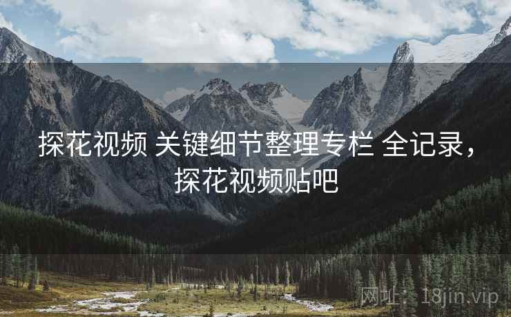 探花视频 关键细节整理专栏 全记录，探花视频贴吧