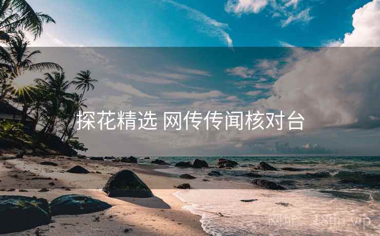 探花精选 网传传闻核对台